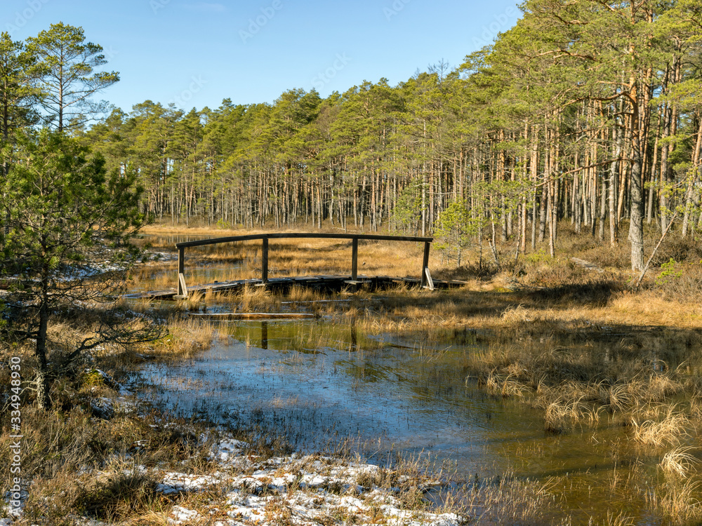 beautiful bog landscape, curved wooden bridge over ditch beautiful bog landscape, curved wooden bridge over ditch