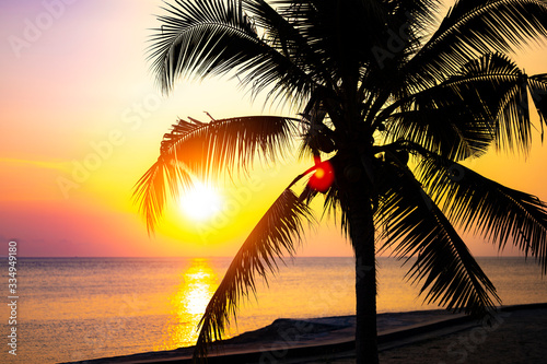 Tropical beach sunset or sunrise with ocean on the background. Sun setting behind the silhouette of a coconut palm tree on a paradise island.