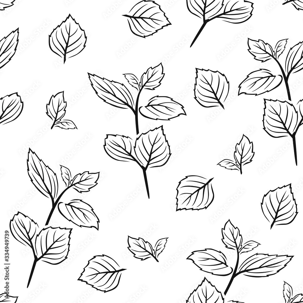 Mint leaf black and white seamless pattern. Herb outline vector illustration. Simple Botanical background. Twigs and leaves of peppermint.