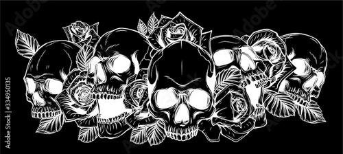 Skull and roses in black background Vector illustration