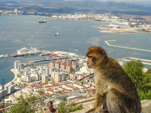 Gibraltar, Felsen, Altstadt, Sehenswürdigkeiten, Panorama © st1909