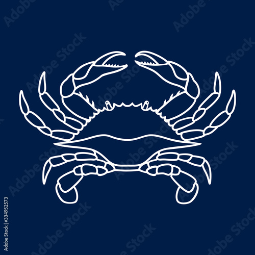 Crab in white color. Blue Crab on navy blue background. Vector logo design, symbol or icon in simple flat style. Linear drawing of a crab. Vector illustration.