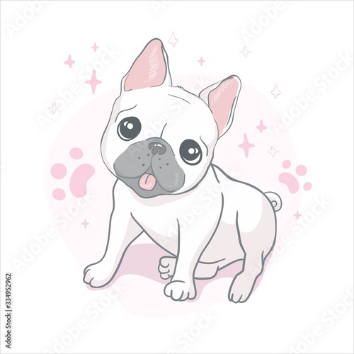 French bulldog head isolated on white background. Vector illustration