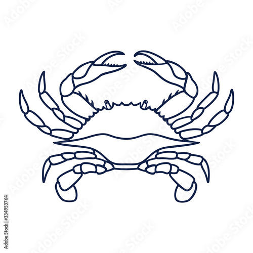 Crab in navy blue color. Blue Crab on white background. Vector logo design, symbol or icon in simple flat style. Linear drawing of a crab. Vector illustration.