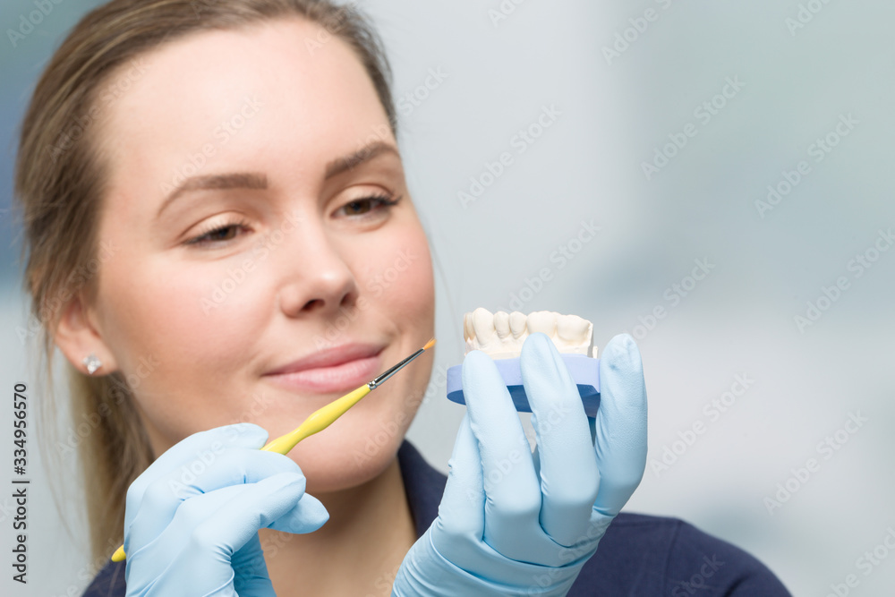 Painting work by a female dentist at dental imprint with artificial