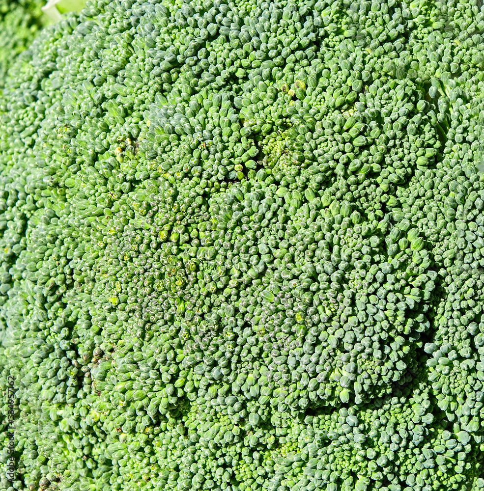 cauliflower background. Macro photo of green Broccoli. cauliflower background. Macro photo of green Broccoli.