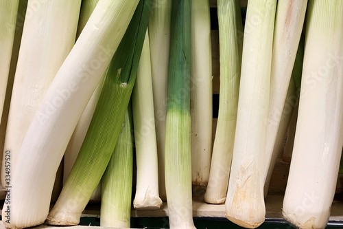 Fresh leek bulbs in the market counter. Vegetables background texture. Advertisement backdrop