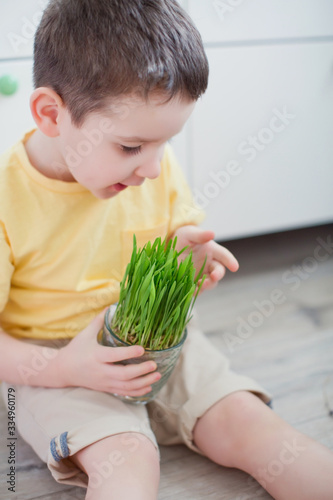 Toddler boy in a yellow t-shirt holds fresh grass in a glass