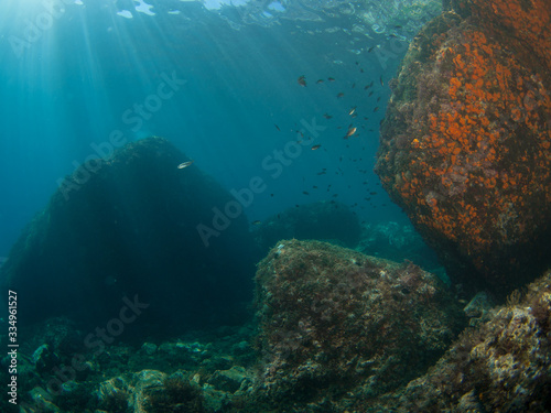 Underwater landscape with walls covered in orange coral  sun rays enter from the surface while small fish swim in the water near the rocky walls.