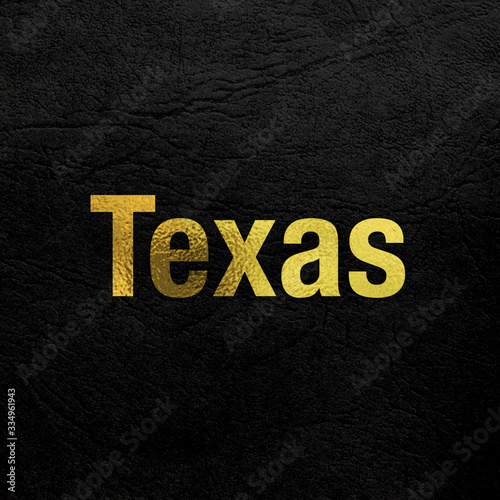 Texas, Austin (United States of America) (USA). Black, golden and luxury text. Premium edition.