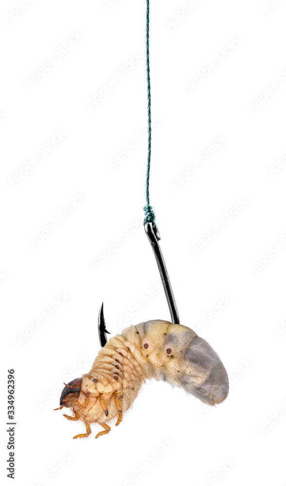 Strong fishing hook isolated on white background