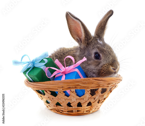 Little bunny in a basket. © voren1