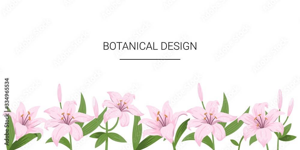 Floral spring design with pink flowers. Lily flowers on a white background. Template for design banner,  flyer, inviting. Vector hand-drawn illustration.
