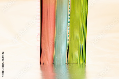 diary, order, journal, description, organizer, notepad, clerk, assessment, notes, print, routine, week, data, records, records, offense, abundance, work plan, mnemonics