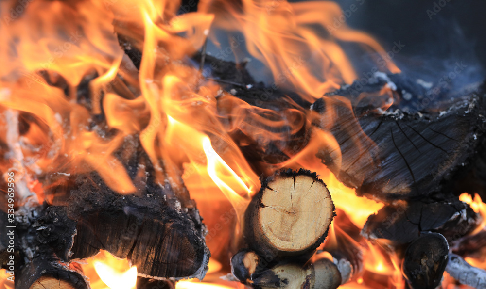 Fototapeta premium burning firewood for barbecue and barbecue