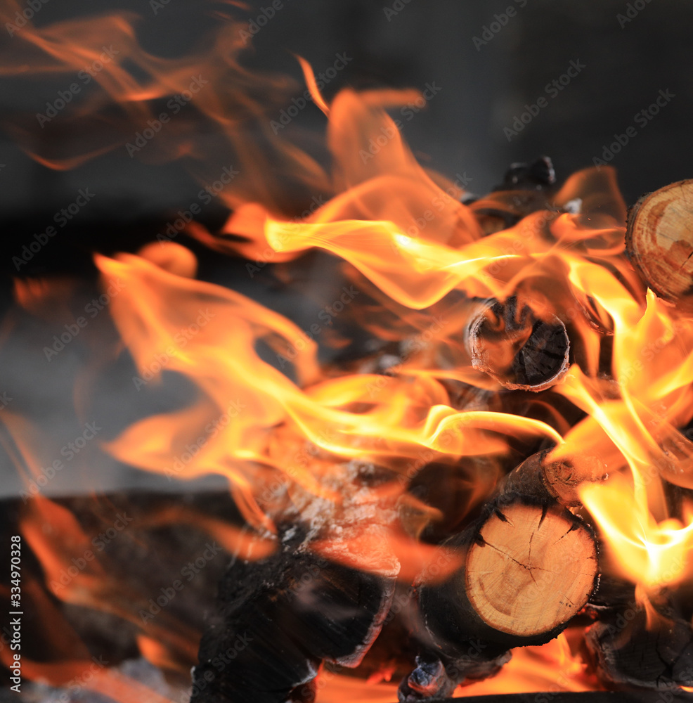 Fototapeta premium burning firewood for barbecue and barbecue