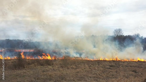 Dry grass burns in the meadow during a drought, quickly spreading flames. Summer fires damage the climate, fauna and flora.