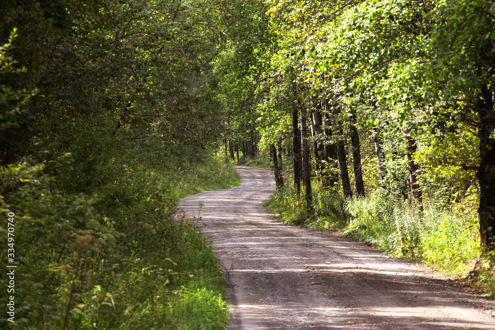 Fototapeta premium beautiful summer landscape