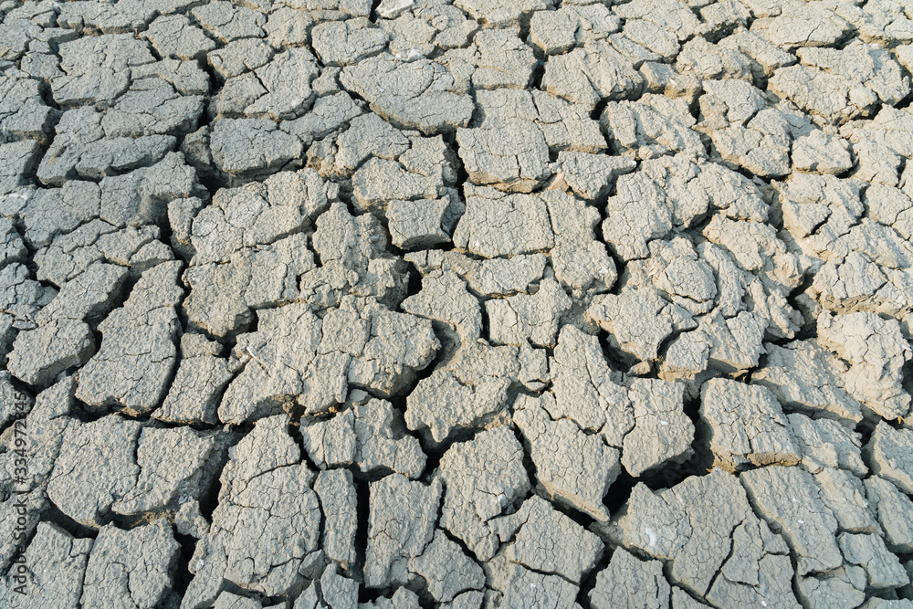 The impact of global warming on sun-cracked soil and the loss of all fauna and flora. The impact of global warming on sun-cracked soil and the loss of all fauna and flora.