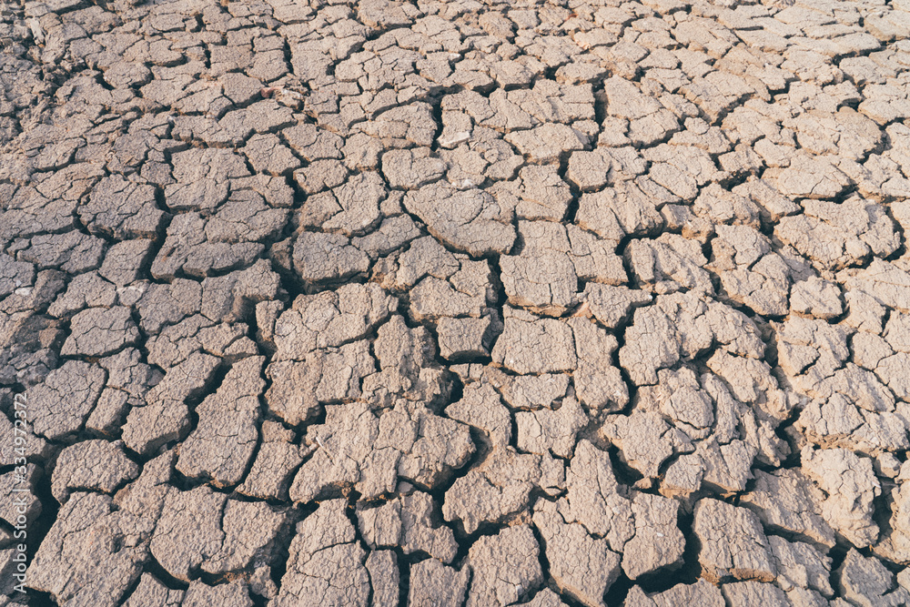 The impact of global warming on sun-cracked soil and the loss of all fauna and flora. The impact of global warming on sun-cracked soil and the loss of all fauna and flora.