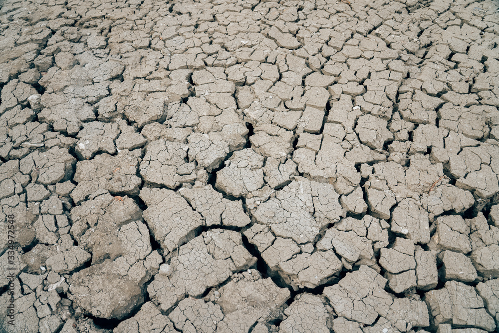 The impact of global warming on sun-cracked soil and the loss of all fauna and flora.