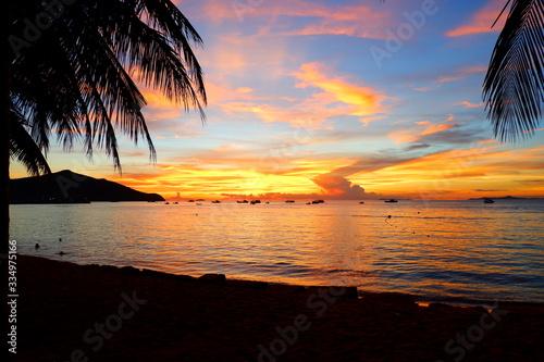 Coconut trees by the sea and tropical sky in the evening