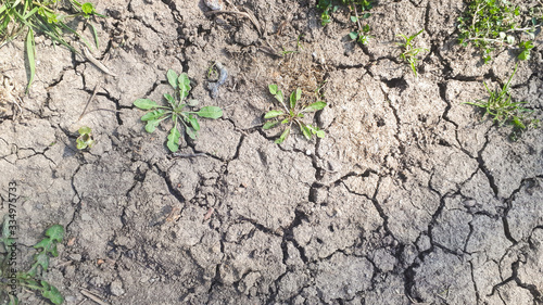 Drought, the ground cracks, no hot water, lack of moisture. Dried and Cracked ground,Cracked surface,Dry soil