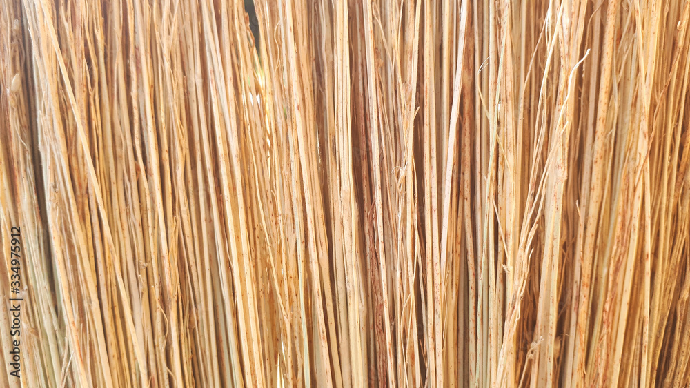 Broom texture, sorghum stems closeup, texture background. Broom texture, sorghum stems closeup, texture background.