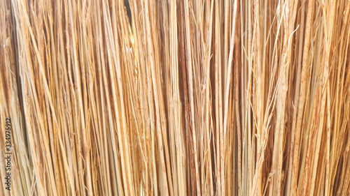 Fototapeta Naklejka Na Ścianę i Meble -  Broom texture, sorghum stems closeup, texture background.