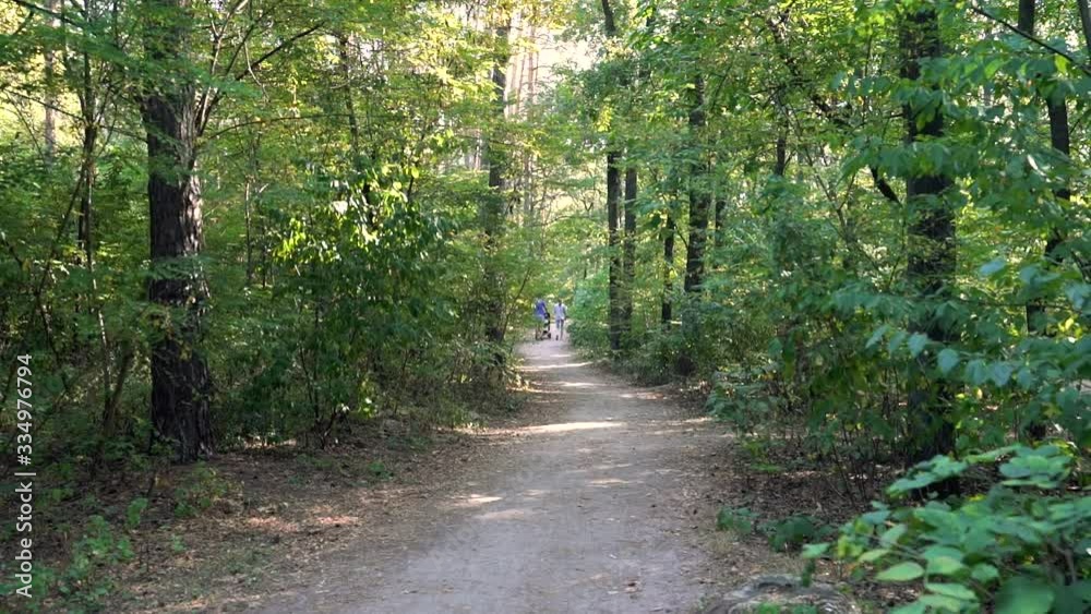 The couple with baby in stroller forest unrecognizable walks summer camera movement slow motion The couple with baby in stroller forest unrecognizable walks summer camera movement slow motion