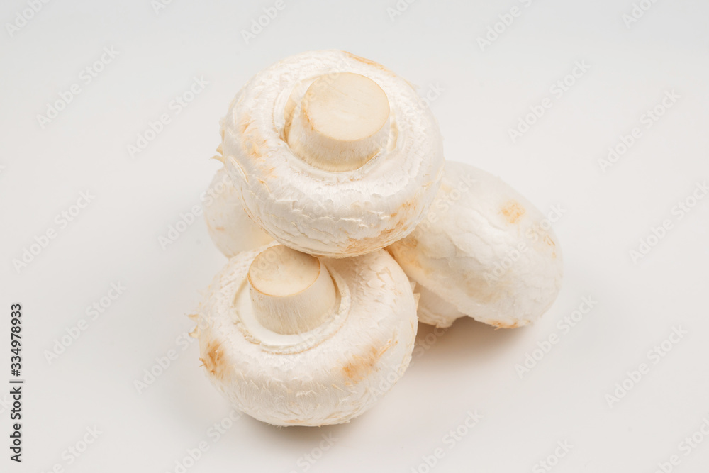 Champignon mushroom isolated on white background.