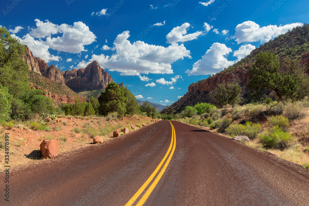 Fototapeta premium Scenic Drive to Zion Canyon.