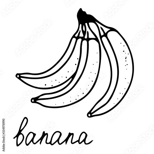 Hand drawn vector isolated food icon. Black outline illustration of tropical fruit. Banana icon. 