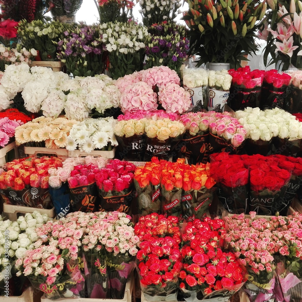 Blumenmarkt in Ljubiljana