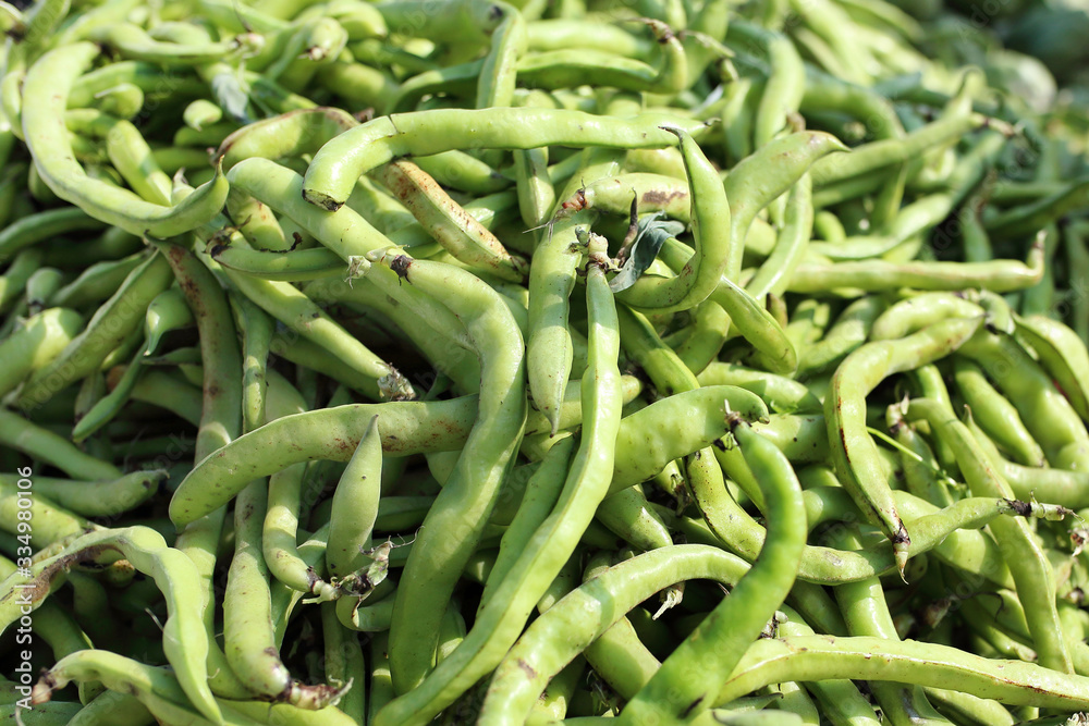 Green beans. Natural background with raw vegetables. Green beans. Natural background with raw vegetables.