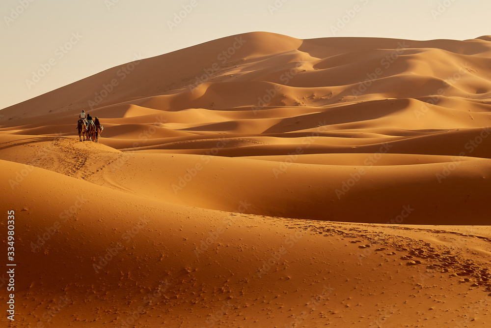 Carovana nel deserto