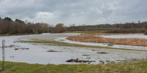 Foto Birds crossing while river Aire floods Bower's lakes at Alerton Bay due to the h