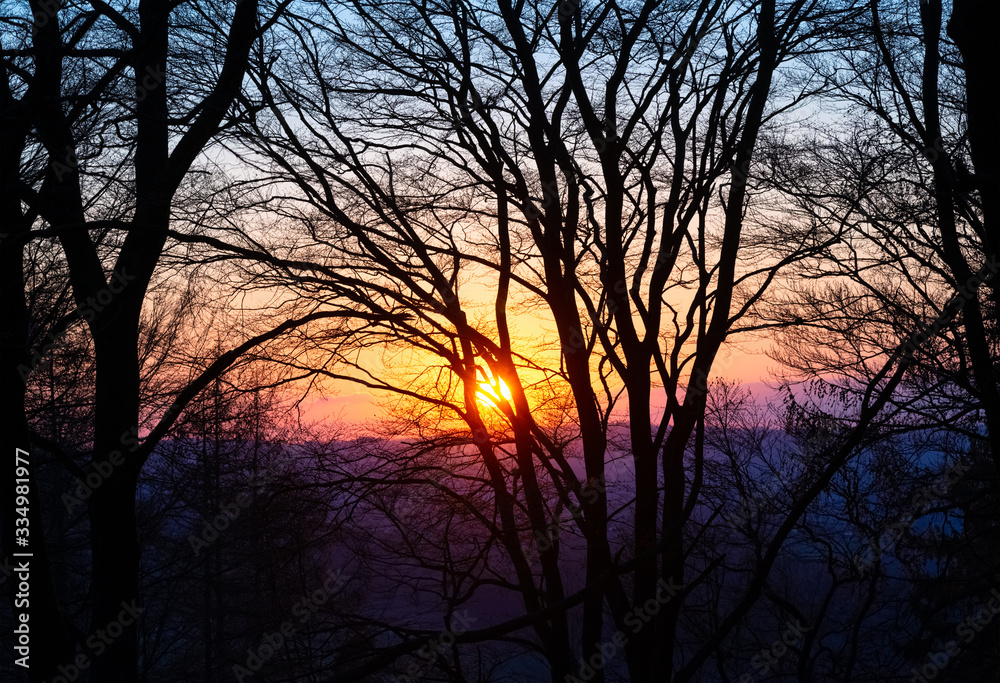 Buchen Gruppe Bäume Silhouetten Gegenlicht Abend Sonnenuntergang Äste Ast Stamm Sauerland Deutschland Kohlberg Neuenrade Altena Großer Attig Sauerland Höhenflug Wald Hügel Wanderweg Fernwanderweg 