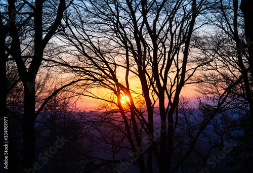 Buchen Gruppe B  ume Silhouetten Gegenlicht Abend Sonnenuntergang   ste Ast Stamm Sauerland Deutschland Kohlberg Neuenrade Altena Gro  er Attig Sauerland H  henflug Wald H  gel Wanderweg Fernwanderweg 