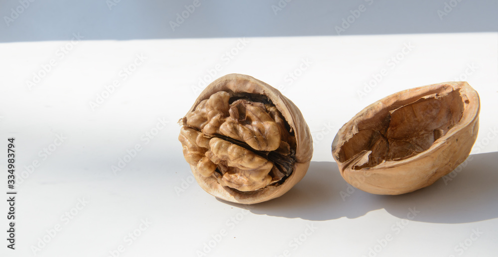 Walnut and half shell on a white board. The concept is to open your mind, to be open to the world. Walnut and half shell on a white board. The concept is to open your mind, to be open to the world.