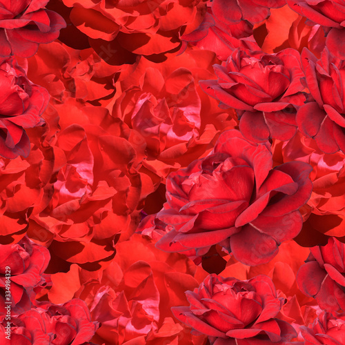  seamless pattern with rose flowers © wasnoch