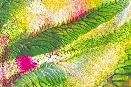 Leaves of Sunny summer. Abstract background. Texture.  Design for backgrounds, wallpapers, covers and packaging © psvetlana
