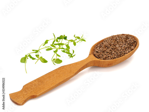 Flax seeds in a wooden spoon and flax sprouts on white background photo