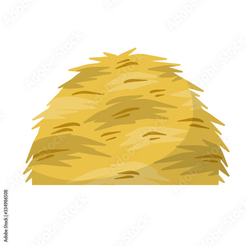 Sheaf of wheat ears. Rural crop.