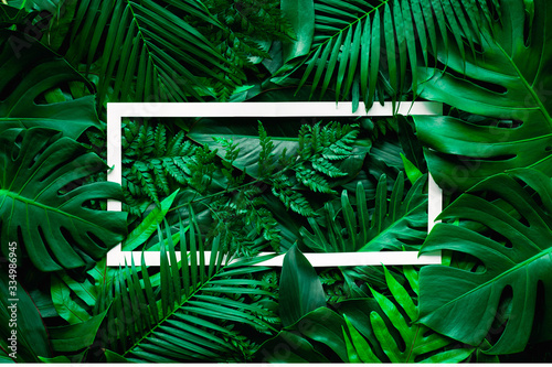 Fototapeta Naklejka Na Ścianę i Meble -  tropical green leaves and palms with white paper note frame, nature flat lay concept