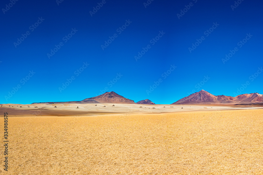 Dali Desert at Clearly Day in Eduardo Abaroa National Park, Uyuni, Potosi / Bolivia