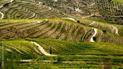 Tableau sur toile Douro Valley, vineyards and landscape near Regua, Portugal