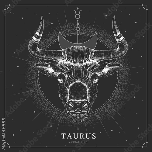 Modern magic witchcraft card with astrology Taurus zodiac sign. Realistic hand drawing bull head
