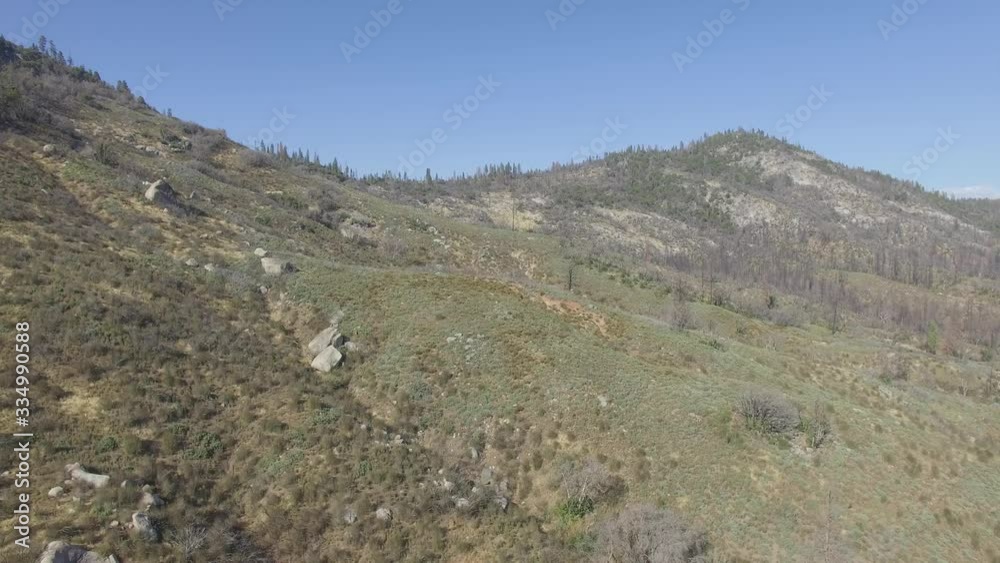 Aerial shot. Flight over Old Oak. Beautiful landscape of wonderful mountains. Amazing mountains and forest. Shooting in 4K video. Cinematic Aerial Footage of Old Oak, Yosemite California USA Aerial shot. Flight over Old Oak. Beautiful landscape of wonderful mountains. Amazing mountains and forest. Shooting in 4K video. Cinematic Aerial Footage of Old Oak, Yosemite California USA