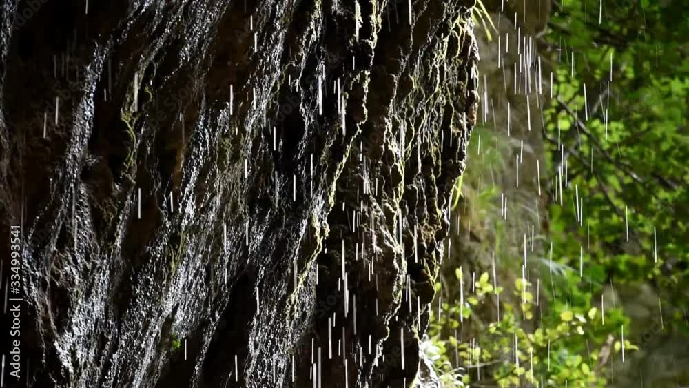rain and wind in a mountain gorge, vegetation background and rocks with moss, flowing water rain and wind in a mountain gorge, vegetation background and rocks with moss, flowing water